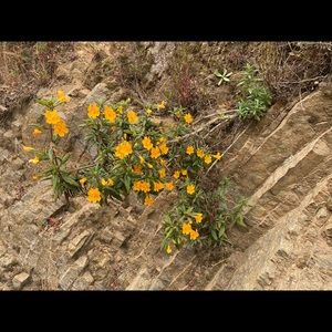 Meet your Posher, Hoda